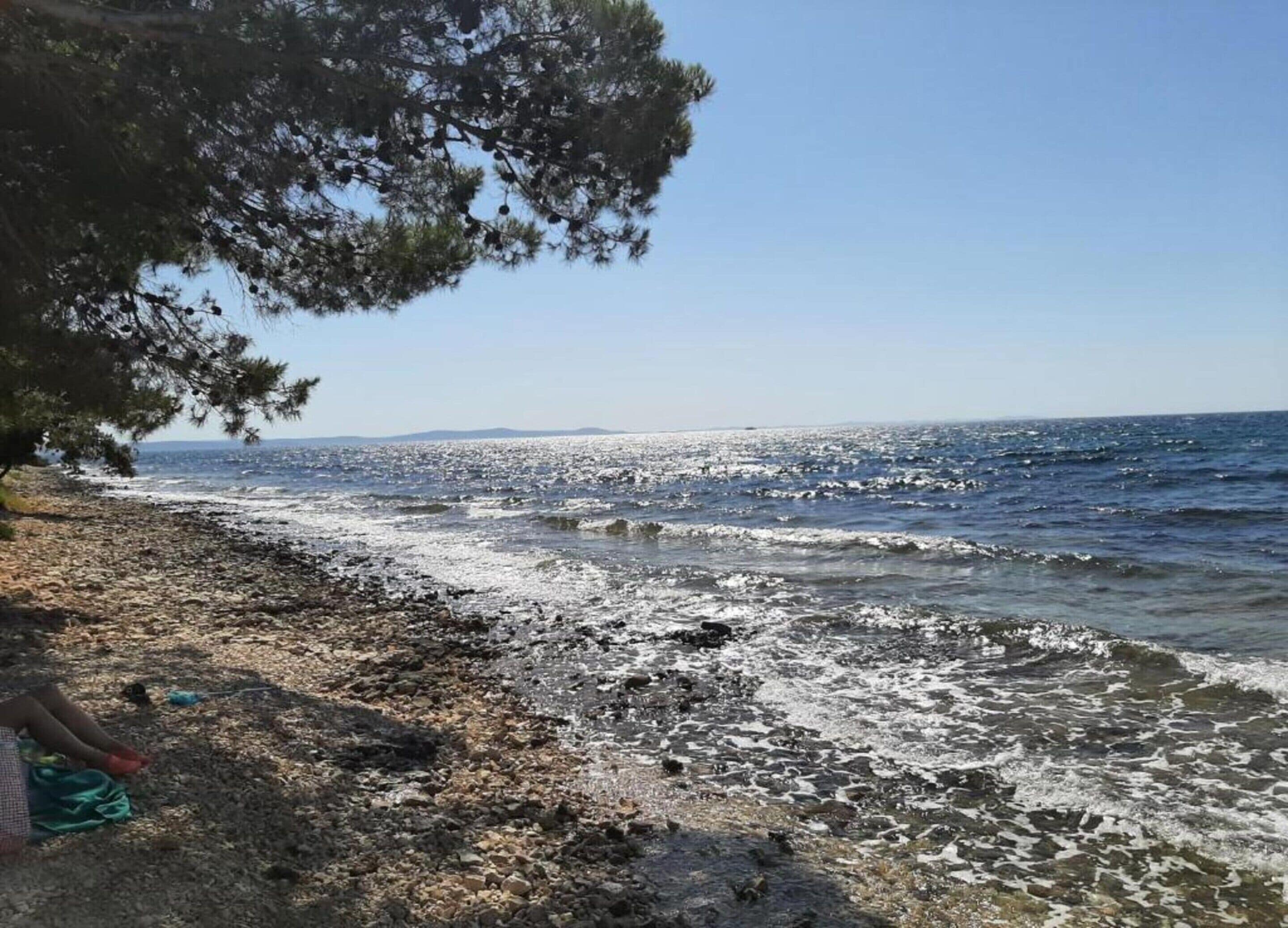 Apartment | View from property