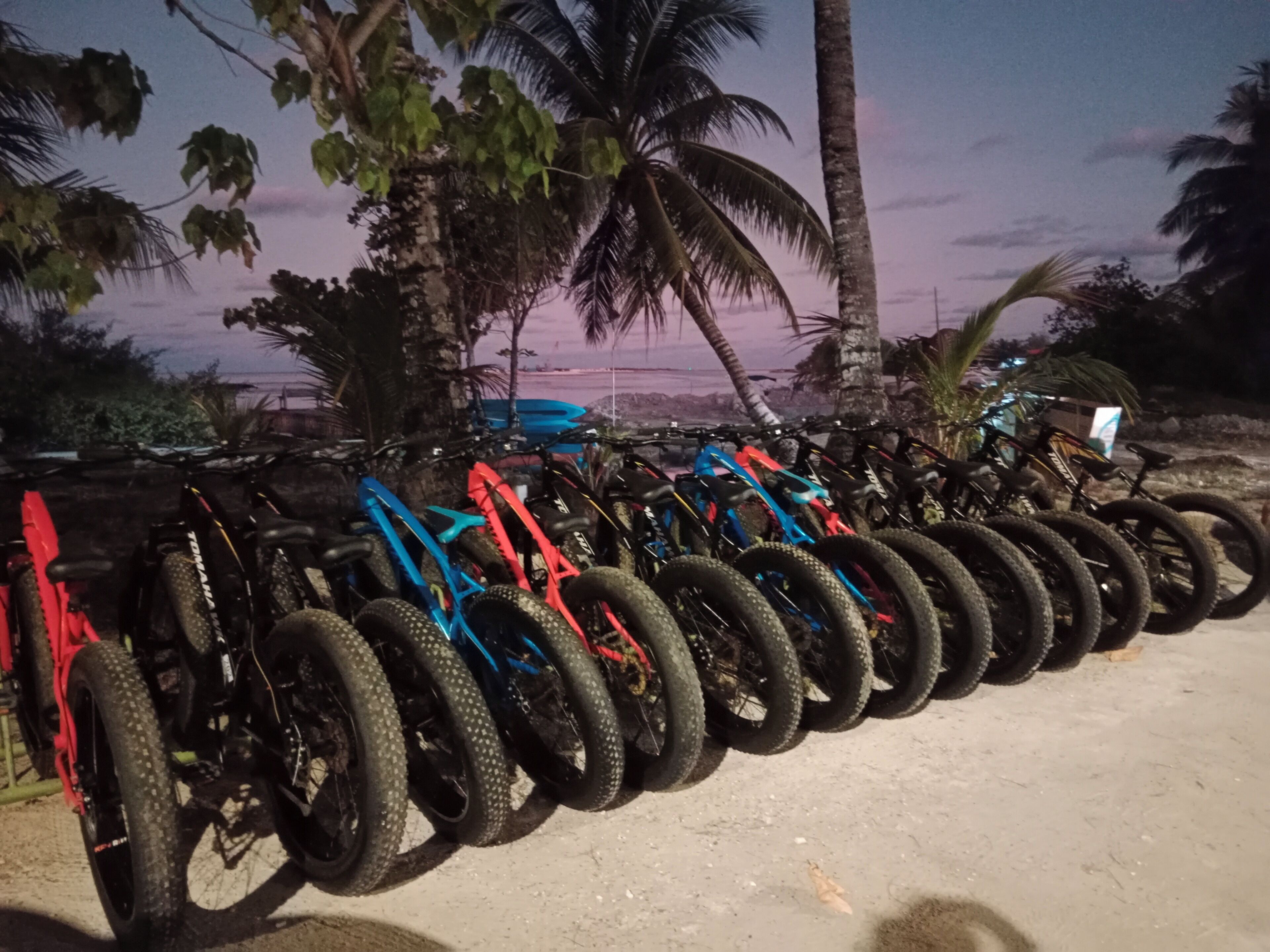 Una fila di biciclette parcheggiate all'aperto, con terreno sabbioso e palme sullo sfondo.