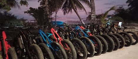 Una fila di biciclette parcheggiate all'aperto, con terreno sabbioso e palme sullo sfondo.