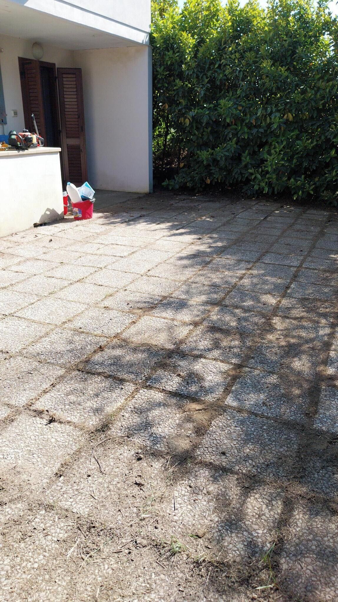 Un espacio al aire libre pavimentado con un edificio blanco y un seto verde.