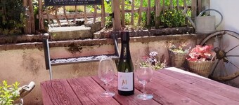 Au pied du vignoble Champenois
maison située entre vignes et forêt Champenoise
