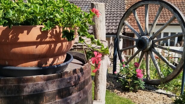 Un entorno rústico al aire libre con una jardinera de madera con plantas verdes y flores rosadas, una gran rueda de madera y un edificio con tejado de tejas al fondo.