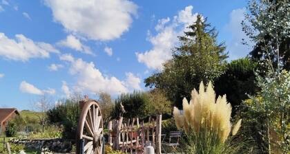 At the foot of the Champenois vineyards house situated between vineyards and the Champenois forest