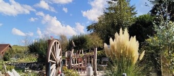 At the foot of the Champenois vineyards house situated between vineyards and the Champenois forest