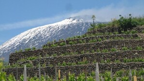 Terraced agricultural fields with a snow-capped mountain in the background. - Betta's House, the vacation home just a few kilometers from Taormina and Catania. (Sant'Agata li Battiati)