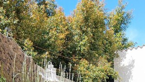 A garden with a metal table and chairs, surrounded by green plants and a white wall. - Betta's House, the vacation home just a few kilometers from Taormina and Catania. (Sant'Agata li Battiati)