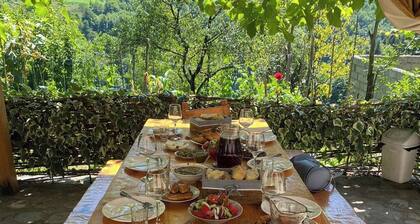 Glamping Machakhela 2