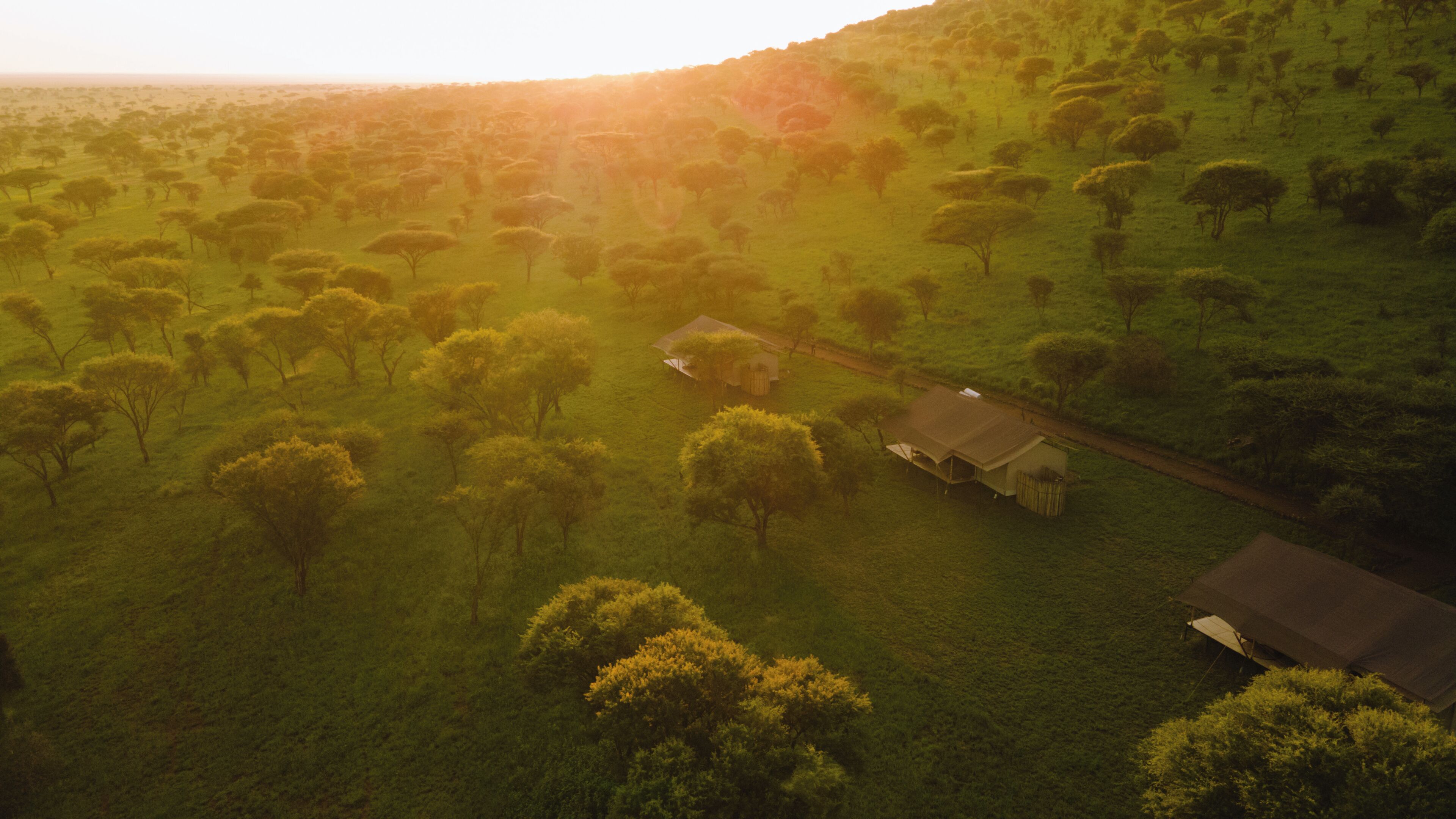 An aerial view of a rural landscape with scattered trees and a few buildings.