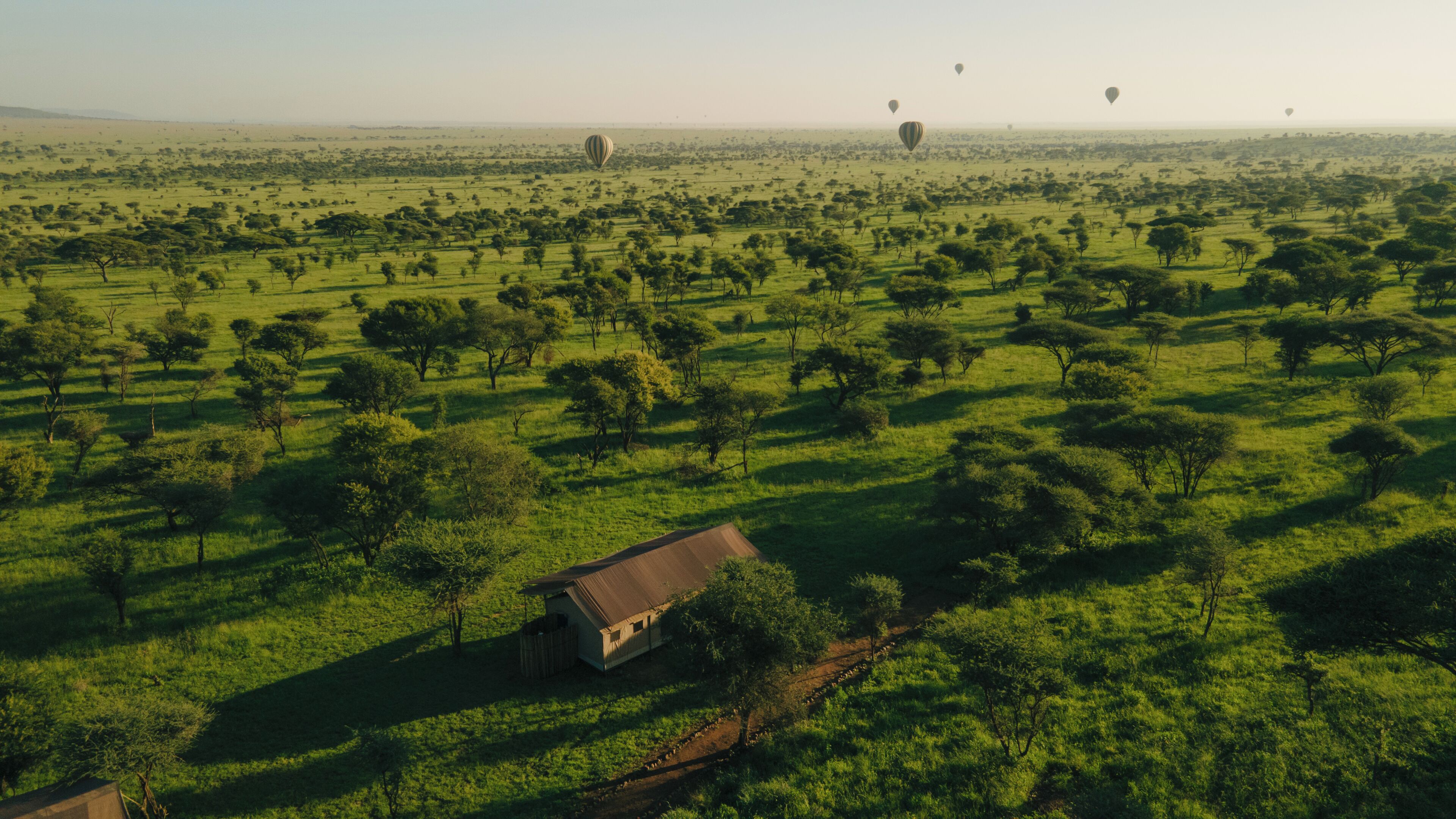 A rural landscape with scattered trees and a small building.