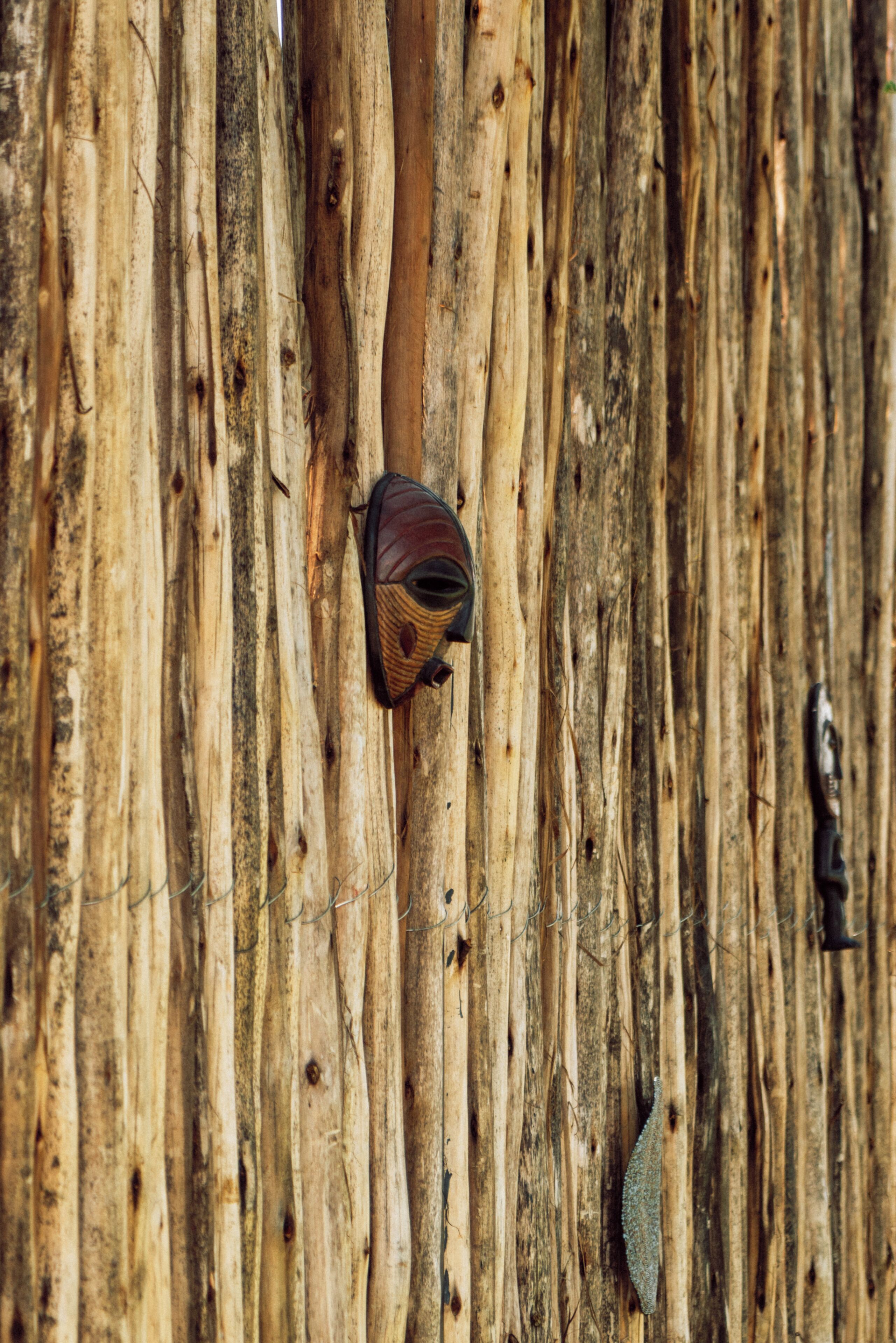 A close-up of a tree trunk with a bird perched on it and a small object hanging from a wire.