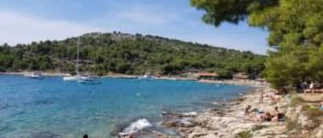 Appartement | Vue depuis lâhĂ©bergement