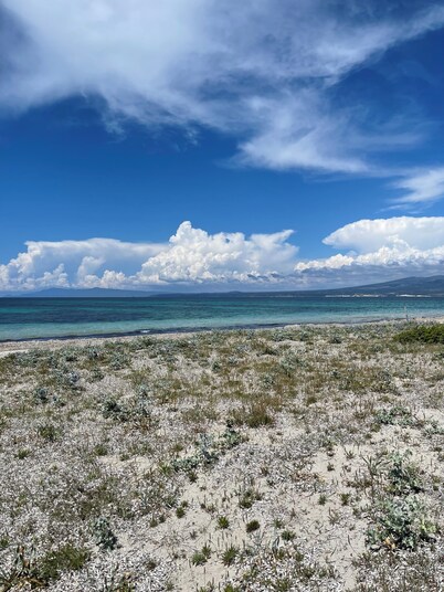 Pet friendly,close to wild beaches