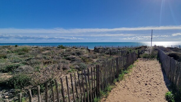 Ein sandiger Weg führt zu einem Strand, beidseitig gesäumt von einer Holzlattenzaun.