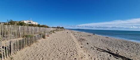 Lettini da mare
