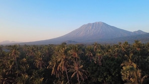 A mountain with a clear sky and a dense palm tree forest in the foreground. - Vela Tianyar Boutique Resort By Dhananjaya Hospitality (Kubu)
