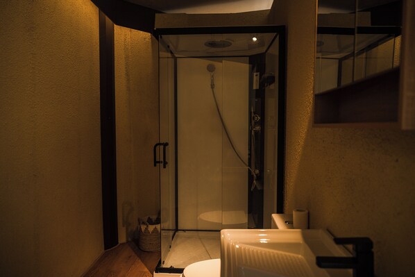 A bathroom with a glass shower enclosure, a toilet, and a sink. - Vela Tianyar Boutique Resort By Dhananjaya Hospitality (Kubu)