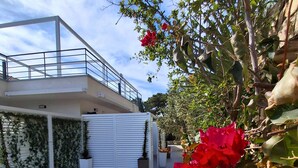 Un edificio moderno con techo plano, balcón y una zona cubierta con plantas en macetas.