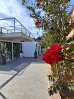 Un edificio moderno con techo plano, balcón y una zona cubierta con plantas en macetas.