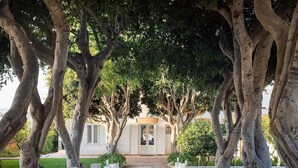 Un sendero conduce a un edificio de fachada blanca y ventanas con contraventanas, rodeado de árboles y un césped cuidado.