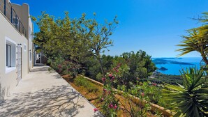 Una propiedad costera con un camino pavimentado, abundante vegetación y vista al mar.