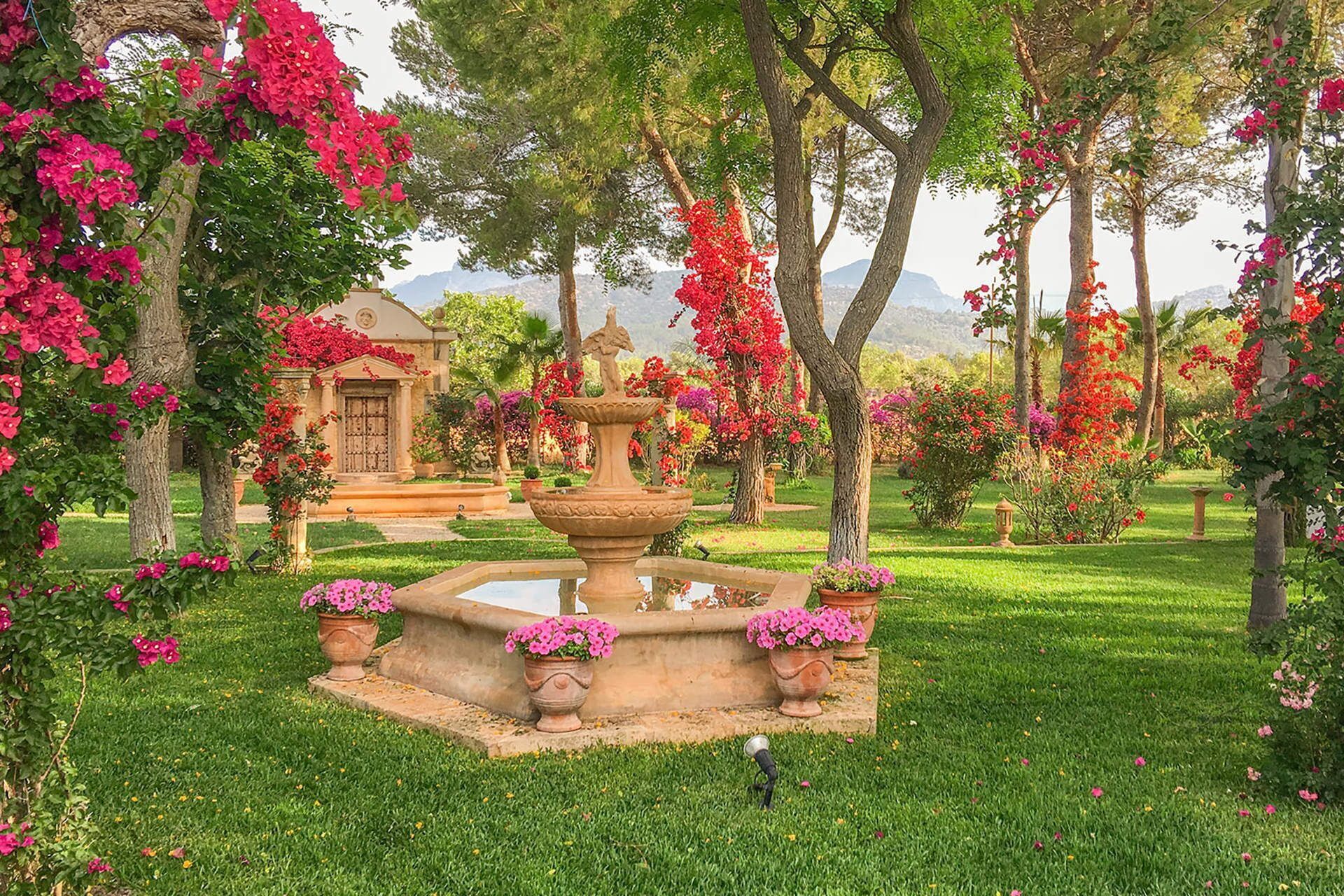 Terrein van de accommodatie