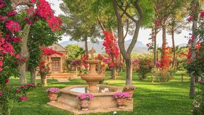 Un jardin avec une fontaine, une végétation luxuriante et un bâtiment doté d’une porte et d’un escalier.