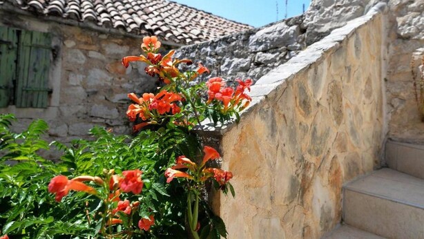 Exterior - 1 Bedroom Apartment With a sea View (Murter-Kornati)