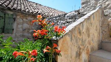 Apartment | Exterior