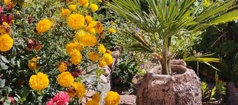 Affordable guest house near to main road, beach and petroglyph museum