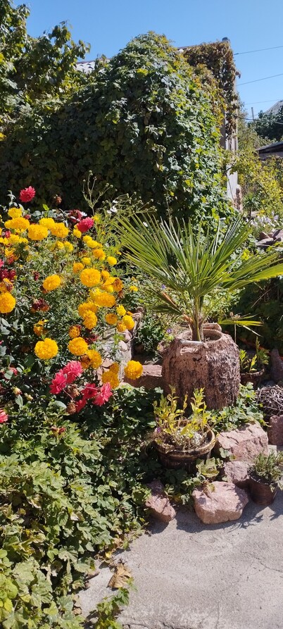 Affordable guest house near to main road, beach and petroglyph museum