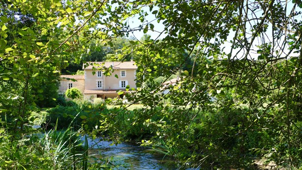 Una casa rodeada de abundante vegetación y un pequeño arroyo.