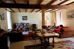 Smart-TV, Kamin