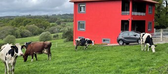 Typical Galician house
