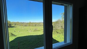 A window view of a green field with cattle, clear sky, and trees. - AS NEVEIRAS, TYPICAL GALICIAN RURAL HOUSE (Fixó)