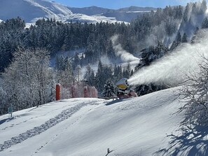 Sports d’hiver