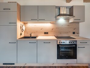 Microondas, horno, lavavajillas y periquera 