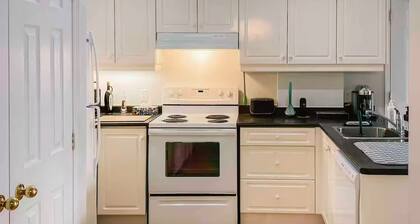 Beautiful Petit Gem Ap. In Downtown! Walk Anywhere
