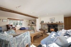 Fernseher, Kamin, DVD-Player, Bücher