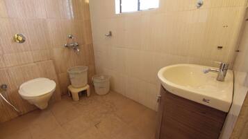 Shower, soap, shampoo, toilet paper