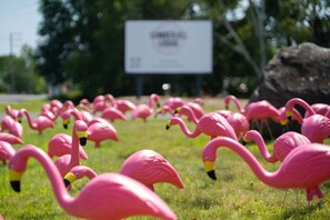 Terrain de l’hébergement 