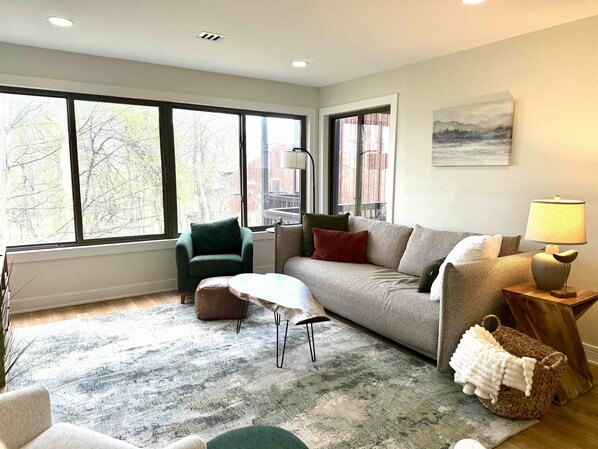 Smart TV, fireplace, video games, books