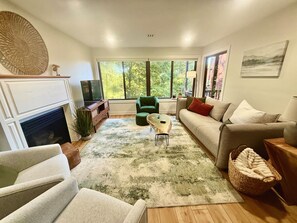 Smart TV, fireplace, video games, books