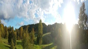 Paisaje rural con colinas onduladas, árboles y cielo despejado.