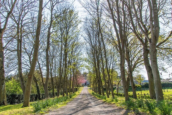 Miscellaneous - Gîte on a farm with animals, near Arromanche-les-bains, 2 km from the sea (Ryes)