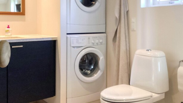 Un baño pequeño con lavadora, inodoro y un armario.