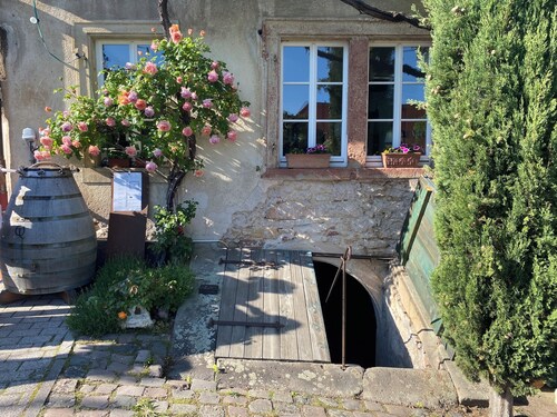 's klä Haisel - detached vacation home close to the center on the edge of the Palatinate Forest