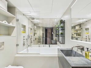 Shower, hair dryer, towels
