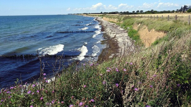 A coastal landscape with a sandy beach, waves, and vegetation. - 6 Person Holiday Home in Gedser (Gedser)