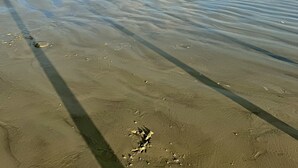 A beach with calm waves, a clear sky, and a shadow of a structure on the sand.