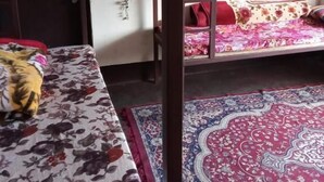 A dormitory room with bunk beds, a patterned rug, and a small table. - Backpackers Hostel  (Darjeeling)